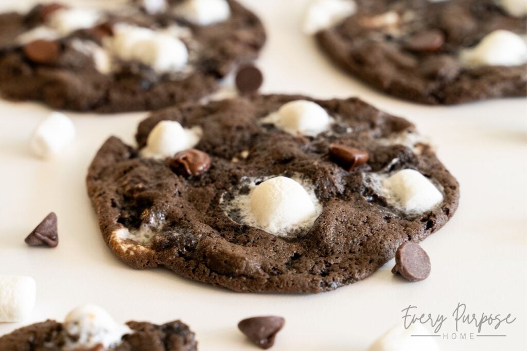 sourdough hot chocolate marshmallow cookies
