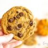 sourdough pumpkin chocolate chip cookies