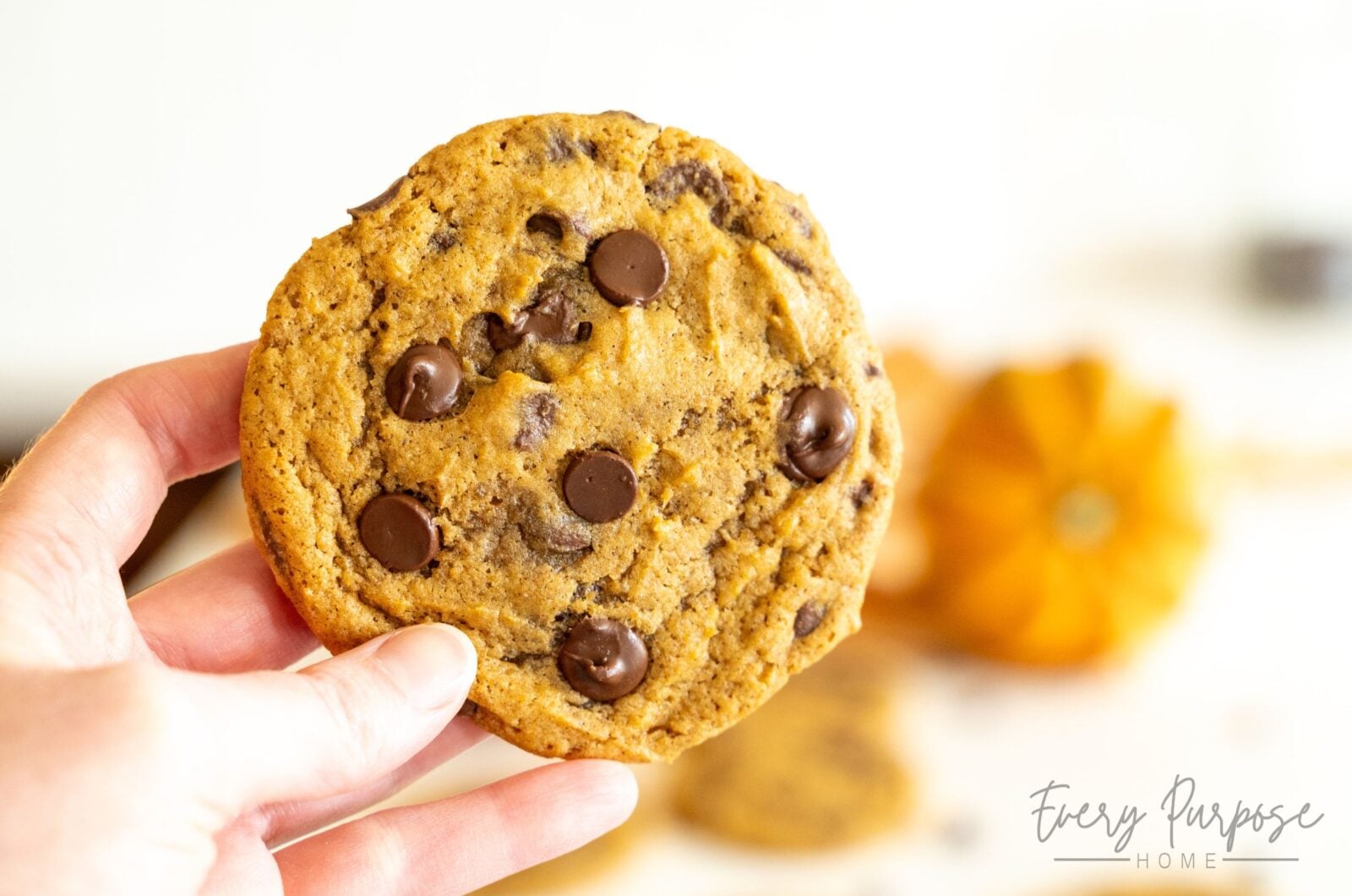 Sourdough Pumpkin Chocolate Chip Cookies (Gooey NOT Cakey!)