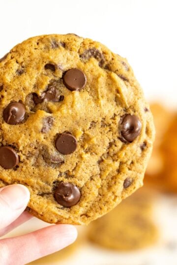 sourdough pumpkin chocolate chip cookies