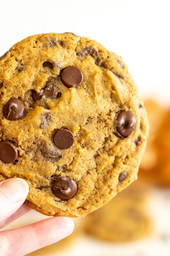 Sourdough pumpkin chocolate chip cookies