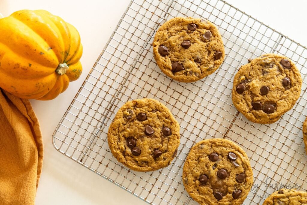 sourdough pumpkin chocolate chip cookies on cooling rack
