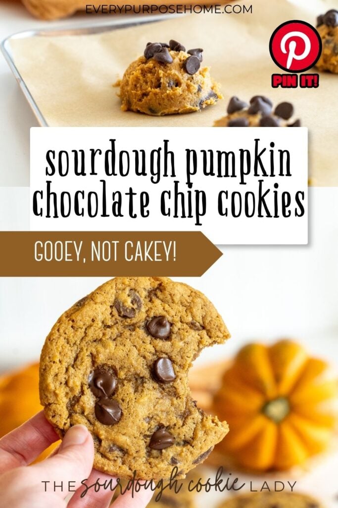 sourdough pumpkin chocolate chip cookies Pinterest pin