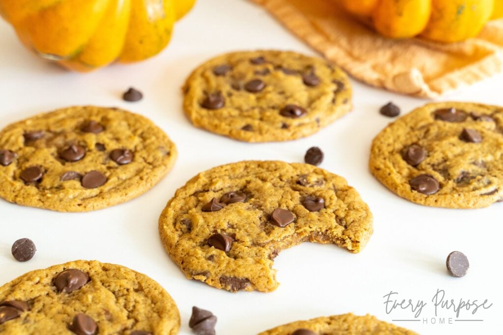 sourdough pumpkin cookies with chocolate chips and brown butter