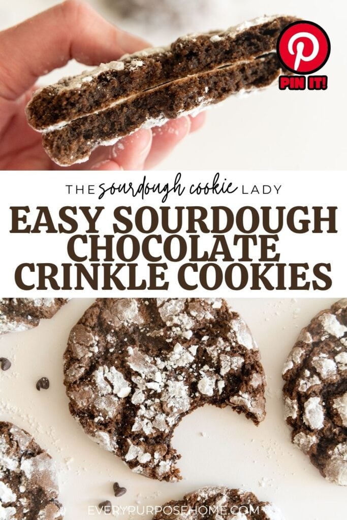 easy sourdough chocolate crinkle cookies no chill Pinterest pin