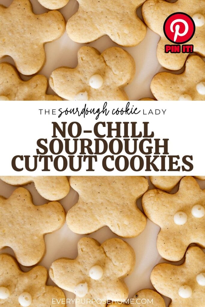 no chill sourdough cut out sugar cookies recipe Pinterest pin
