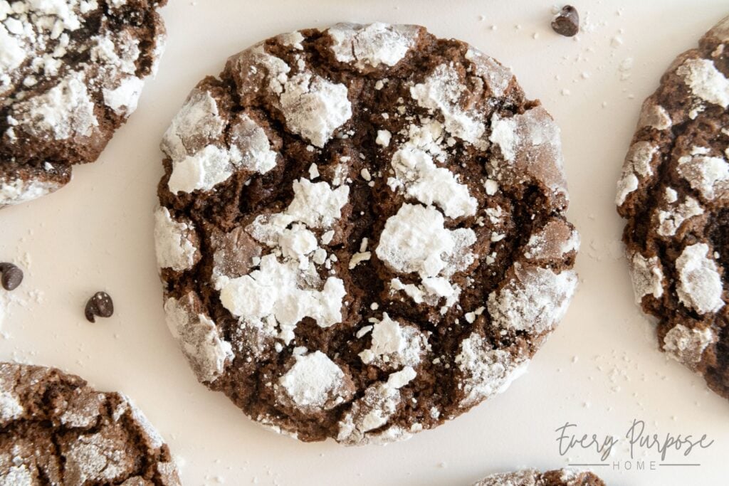sourdough chocolate crinkle cookie texture