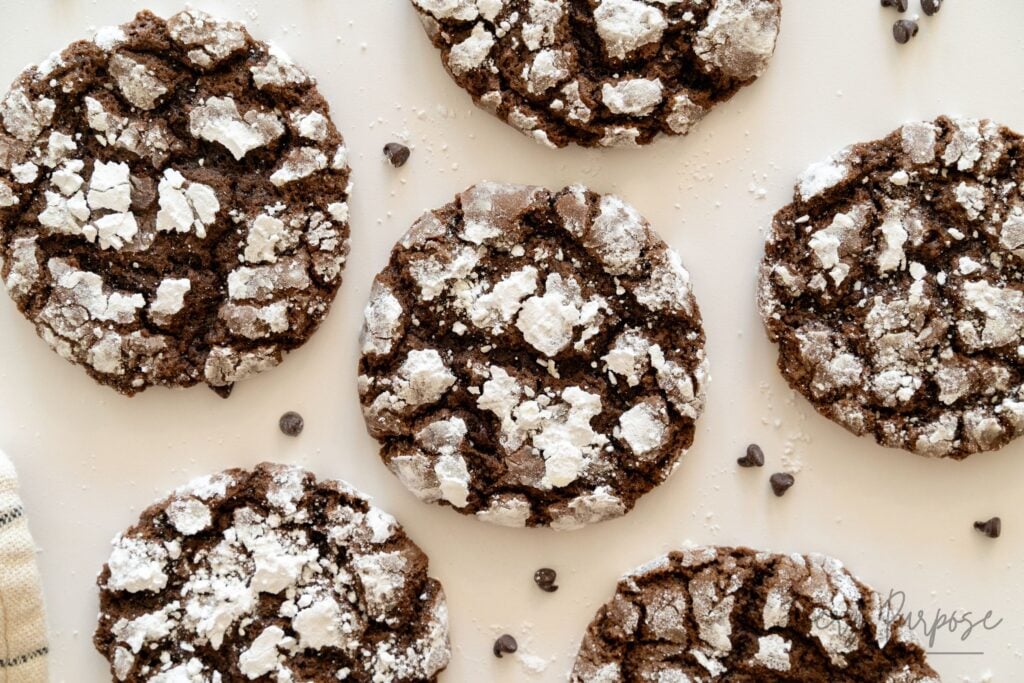 sourdough crinkle cookies with chocolate and powdered sugar