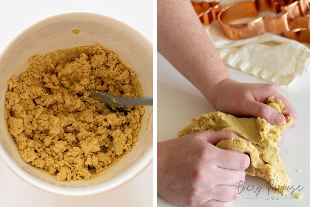 sourdough cut out sugar cookies dough recipe