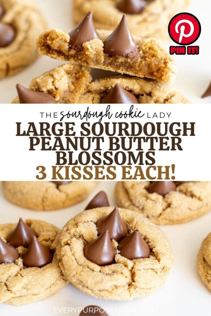 large sourdough peanut butter blossoms cookies Pinterest pin