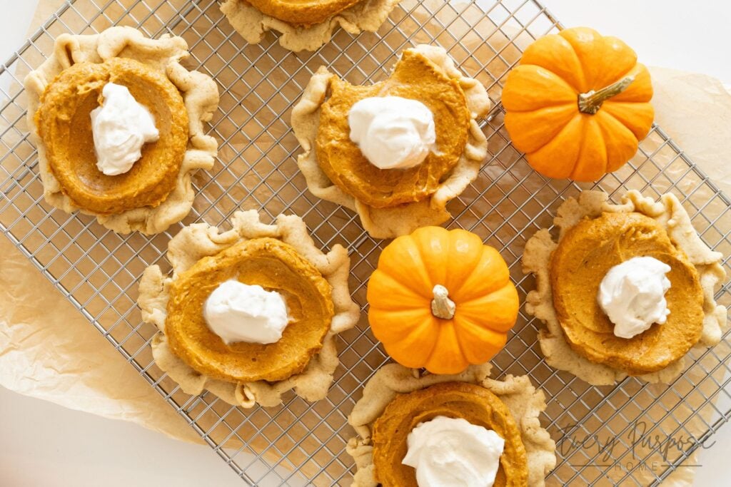 pumpkin pie sourdough pumpkin cookies recipe