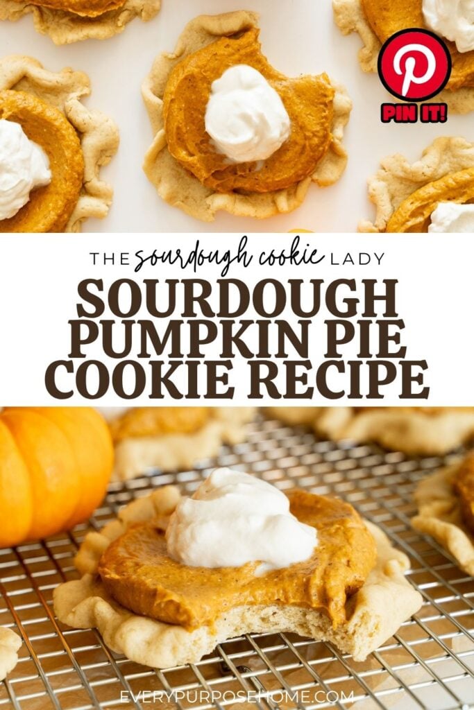 sourdough pumpkin pie cookie recipe Pinterest pin