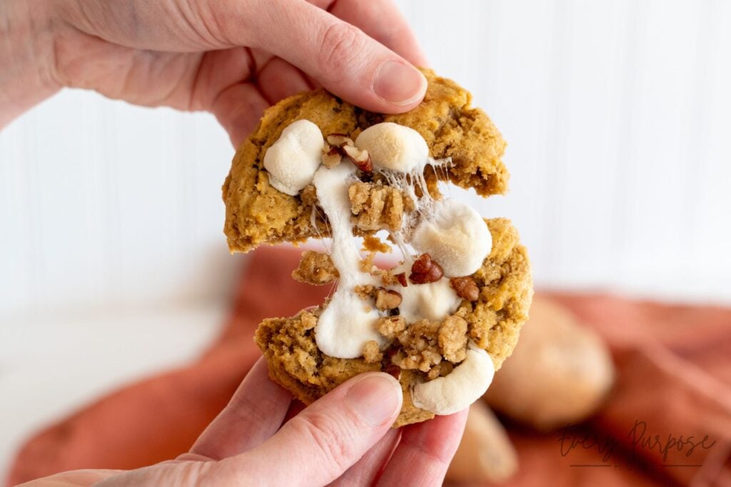 sourdough sweet potato casserole cookie recipe