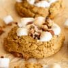 sourdough sweet potato casserole cookies