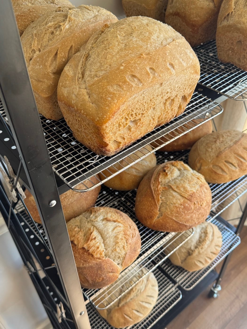 Fresh sourdough loaves cooling on a rack for a bakery drop