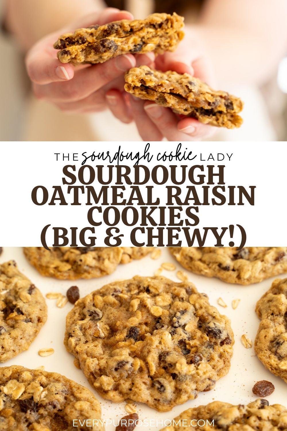 big and chewy sourdough oatmeal raisin cookies recipe by the sourdough cookie lady Pinterest pin