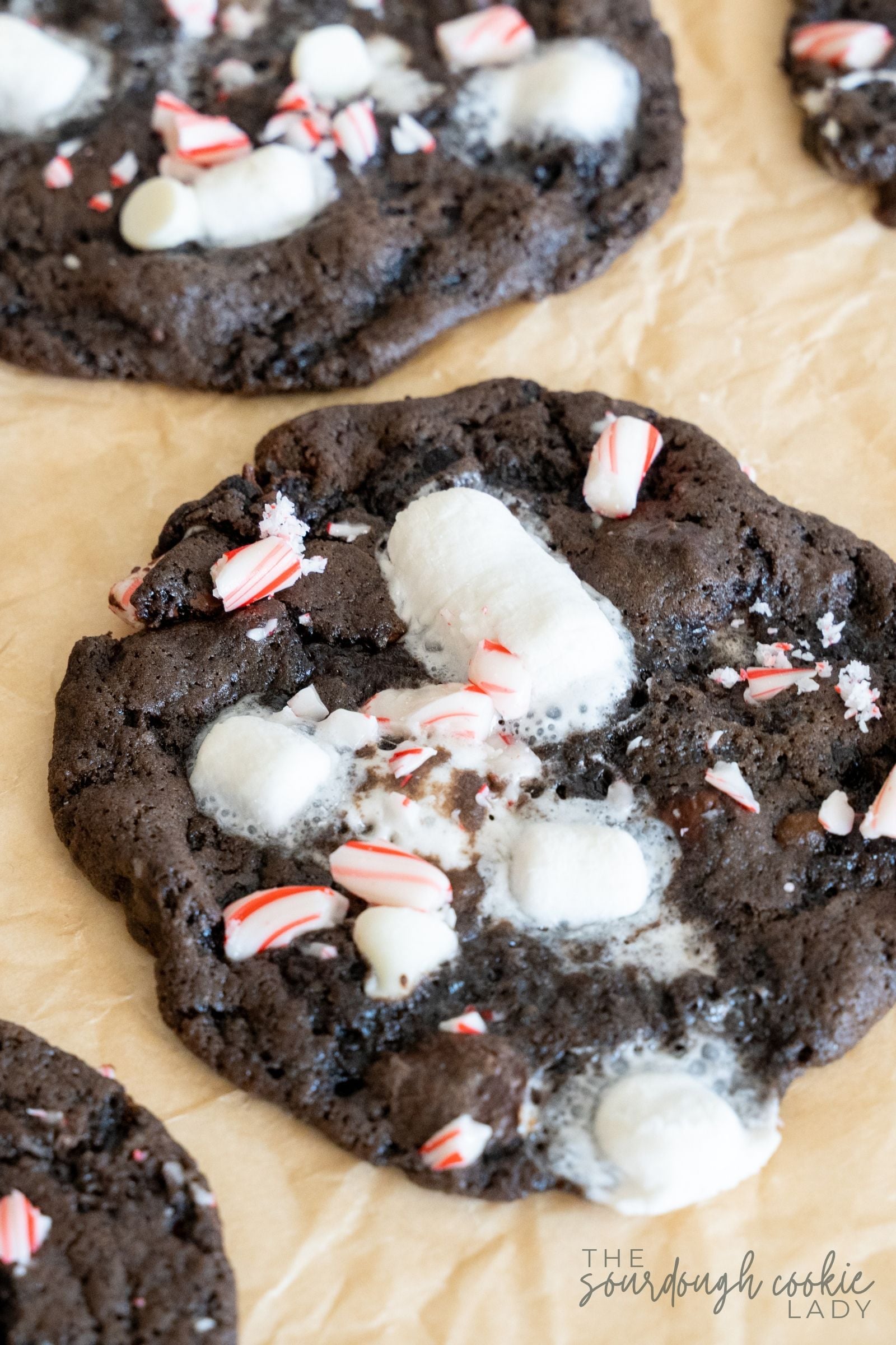 Close-up of chocolate peppermint marshmallow cookies topped with crushed candy canes on parchment paper.
