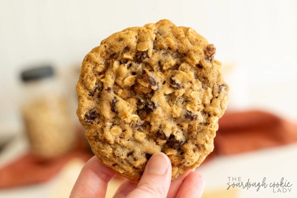 no chill sourdough oatmeal raisin cookies big and chewy