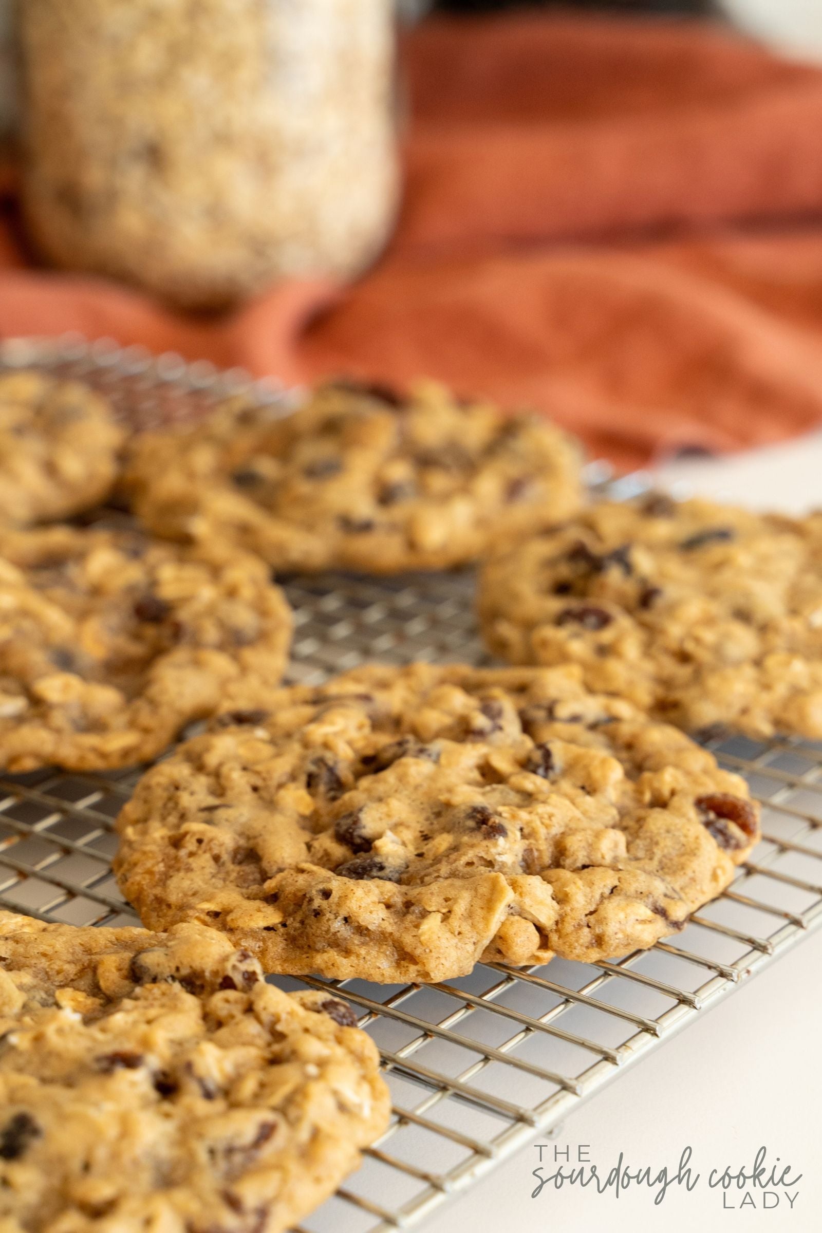 big and chewy sourdough oatmeal raisin cookies on a cooling rack