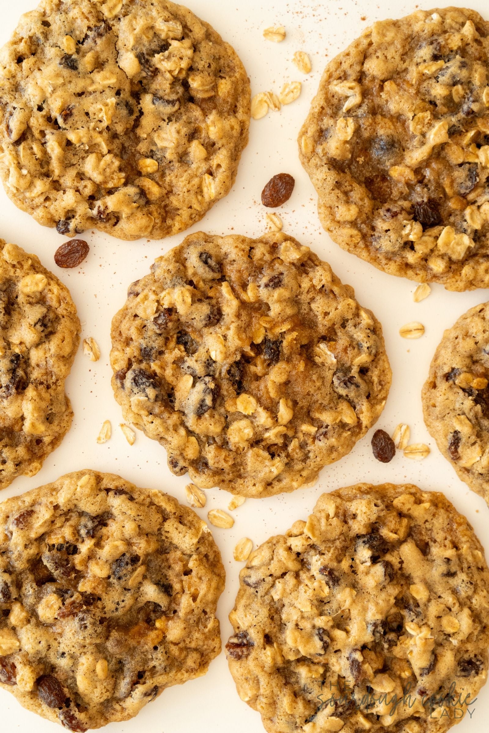 delicious sourdough oatmeal raisin cookies laying on a counter with scattered old fashioned oats and cinnamon around them