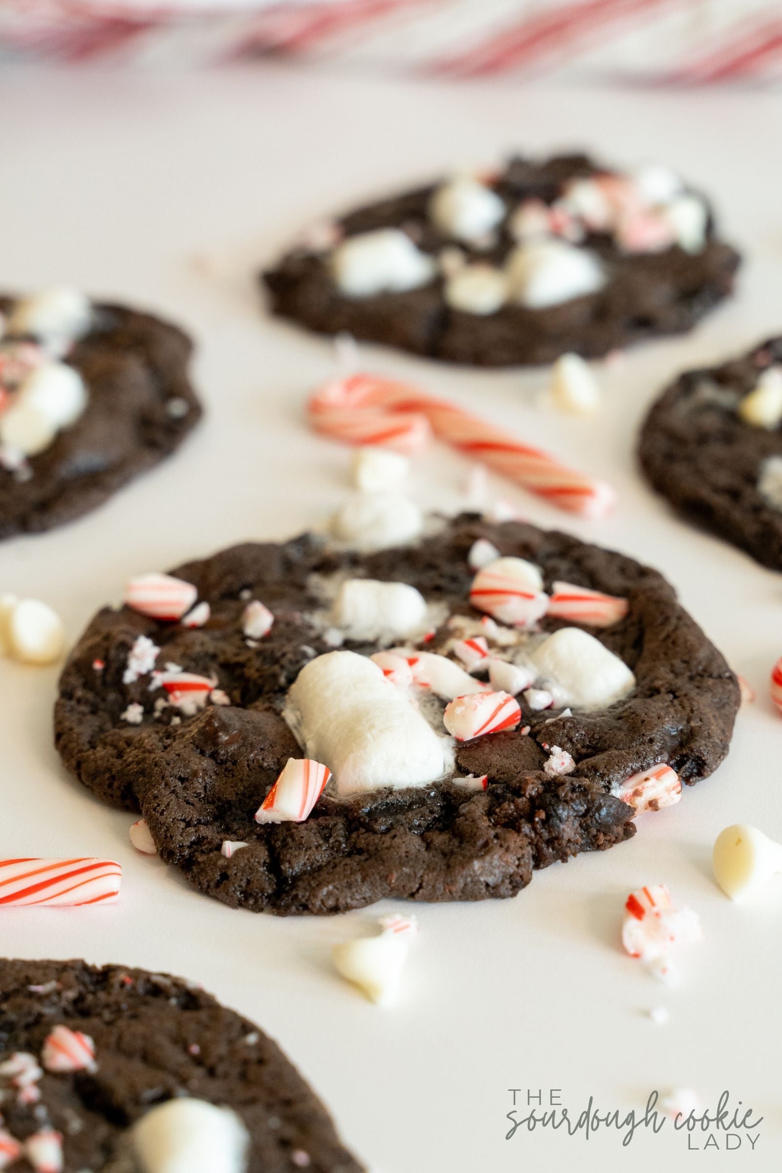 Sourdough peppermint hot chocolate cookies scattered with mini candy canes and white chocolate chips for Christmas.