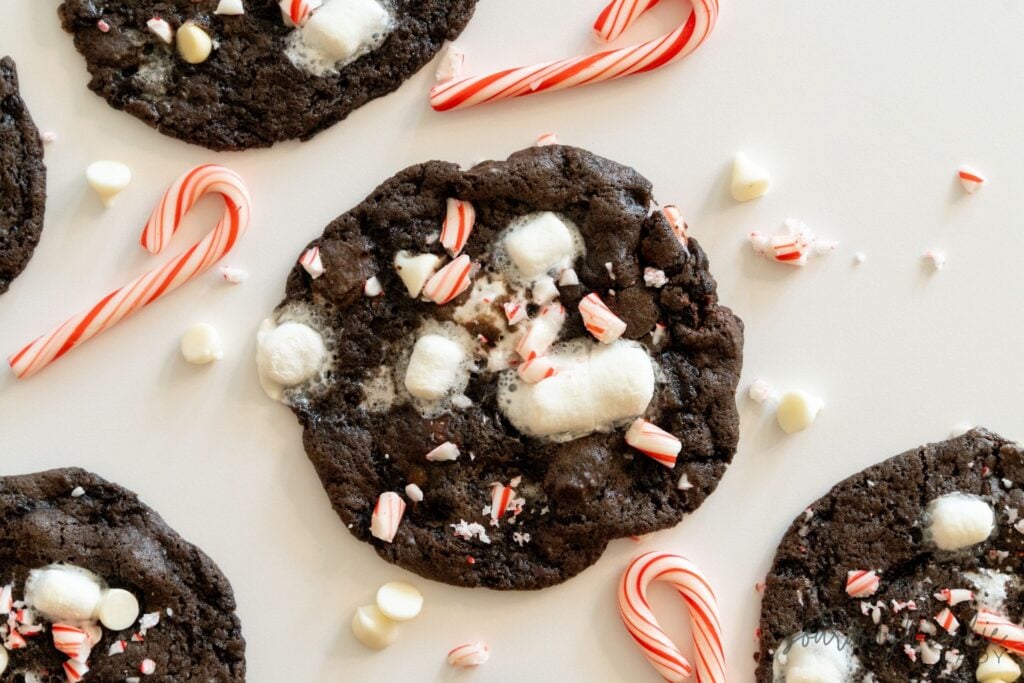 sourdough peppermint hot cocoa cookies