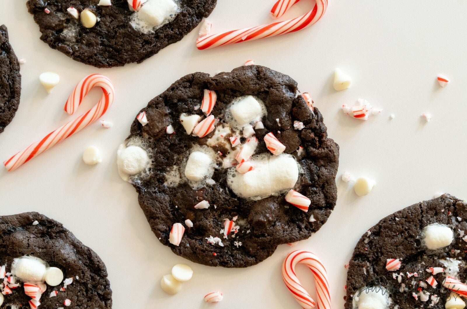 Sourdough Peppermint Hot Cocoa Cookies