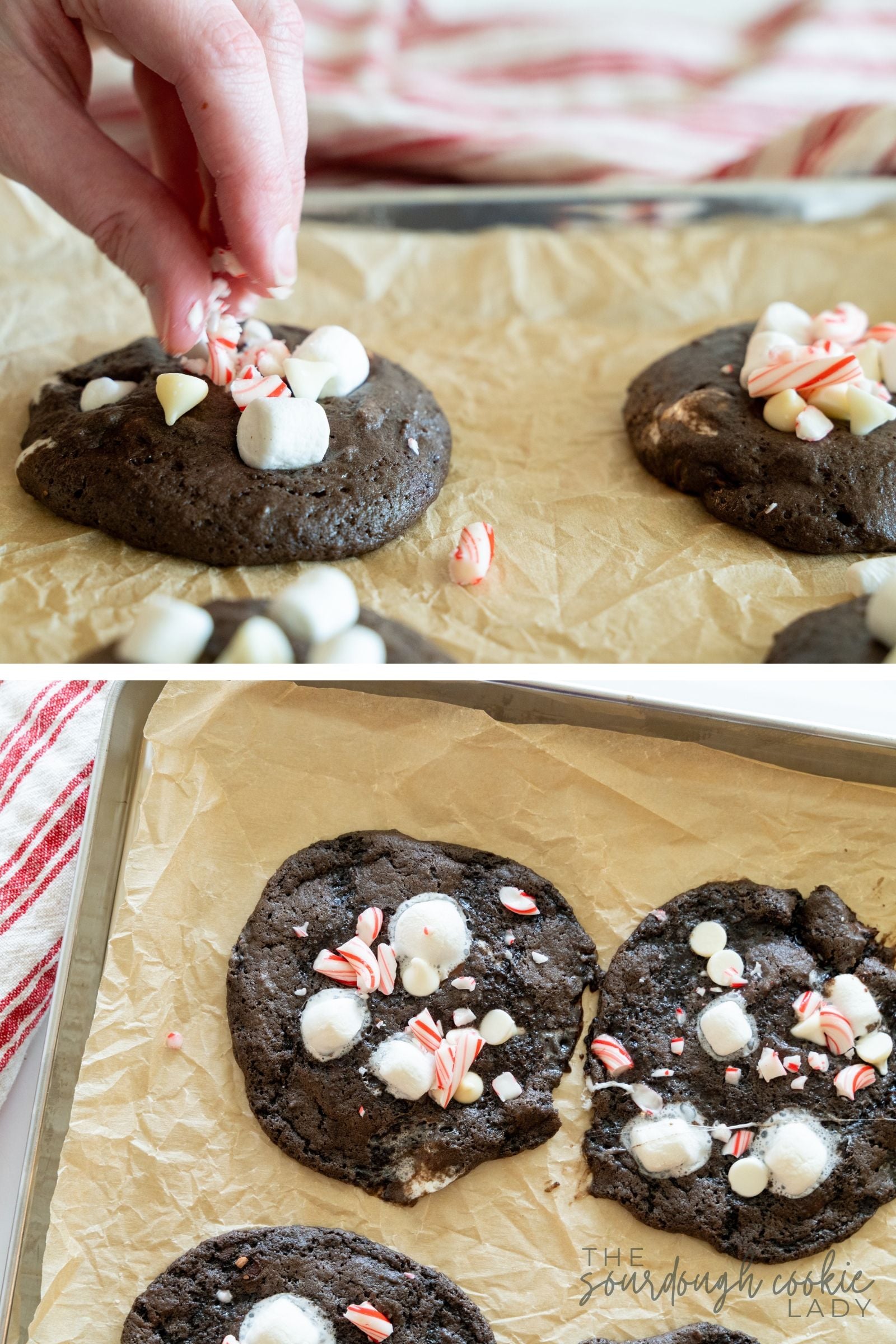 Sprinkling crushed peppermint over marshmallow-topped sourdough peppermint hot cocoa cookies, then the baked cookies on a sheet pan.