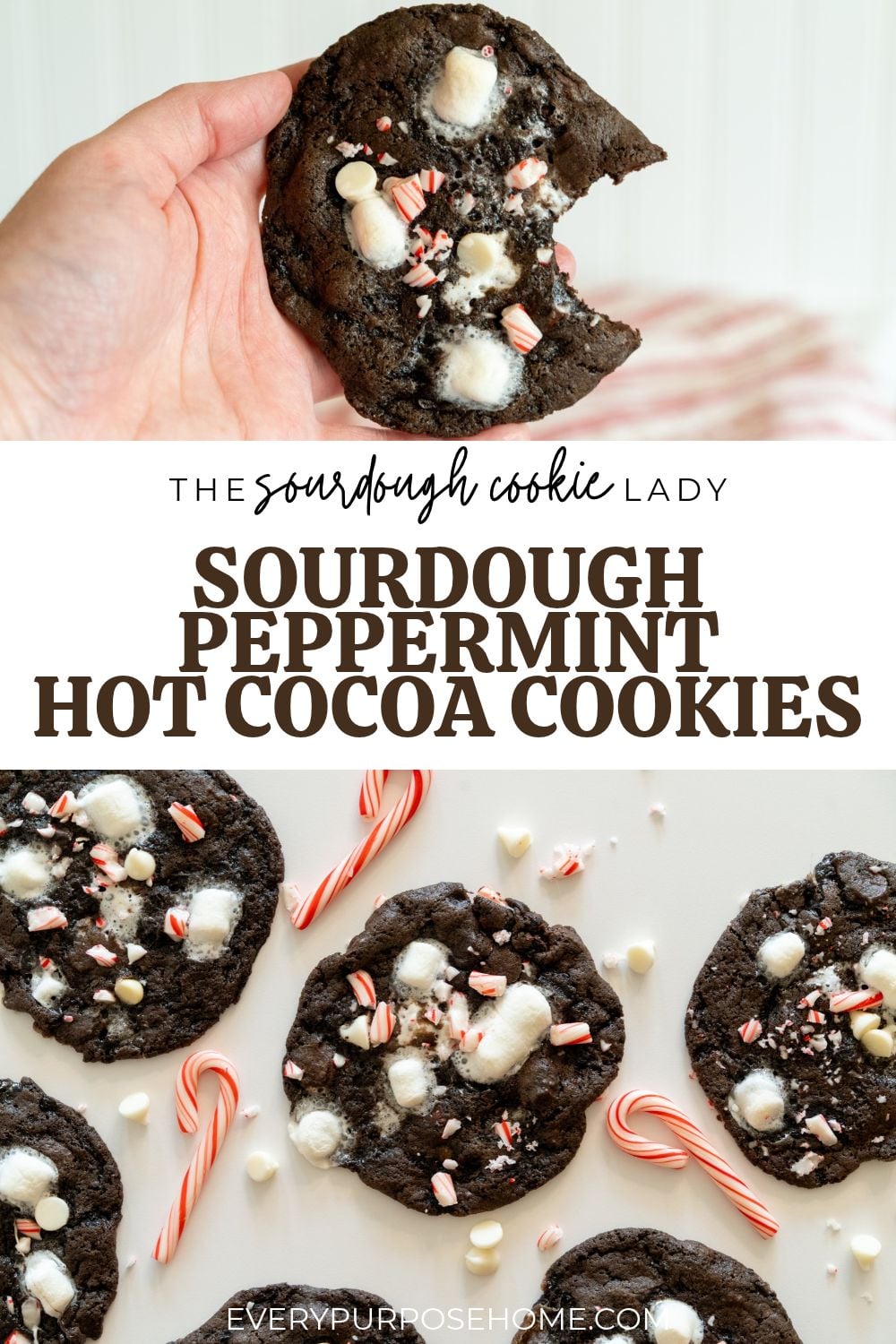 Sourdough Peppermint Hot Cocoa Cookies by The Sourdough Cookie Lady, showing a bitten cookie in hand and cookies with candy canes.