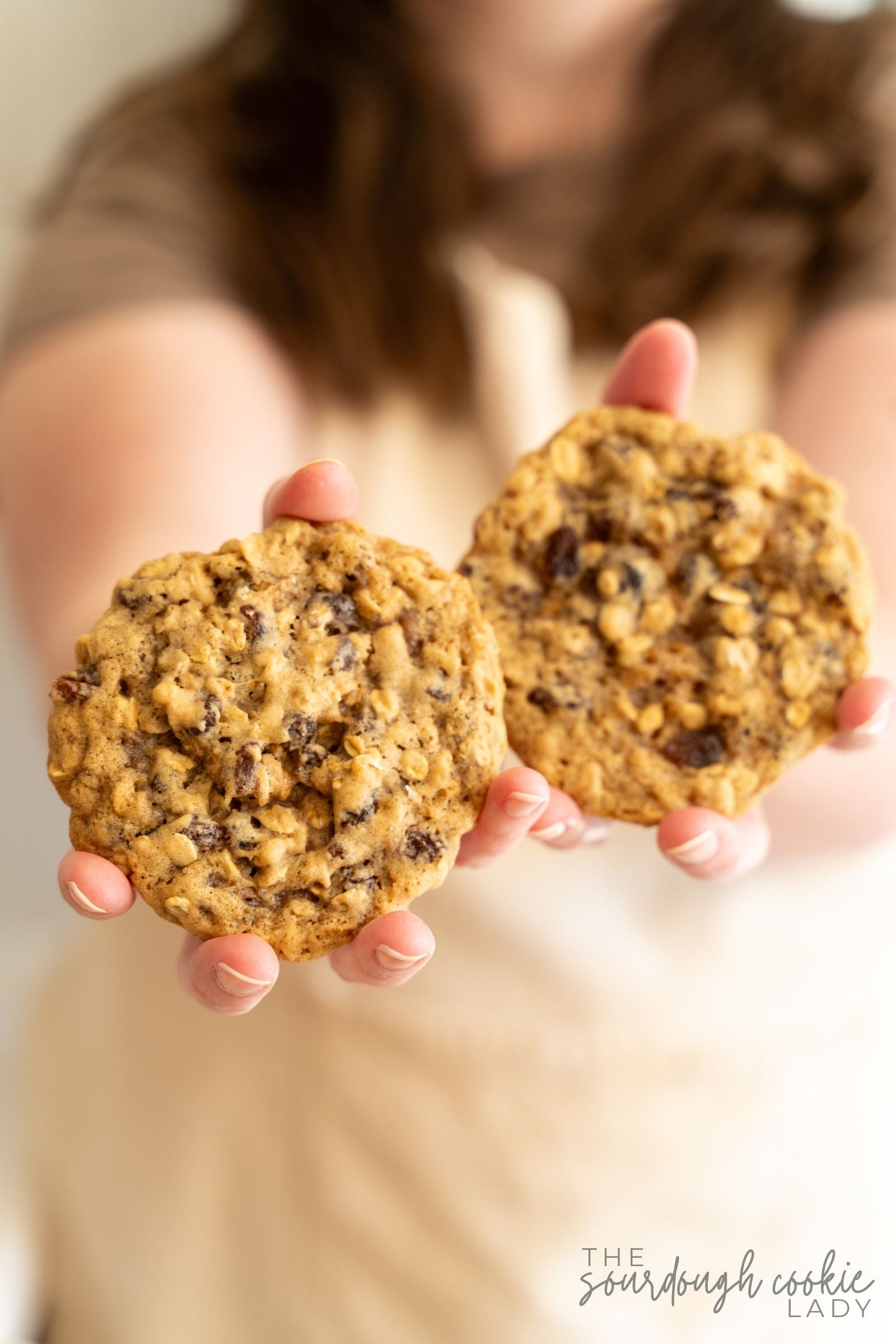 the sourdough cookie lady oatmeal raisin cookies recipe